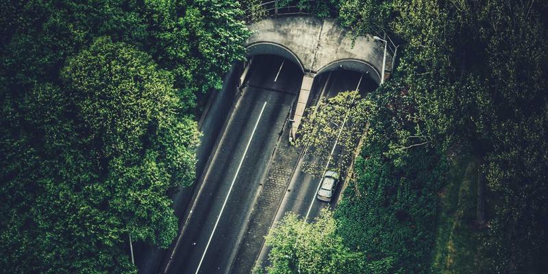 从世界杯到NBA:体育新闻案例分析如何揭示足球与篮球的传播密码