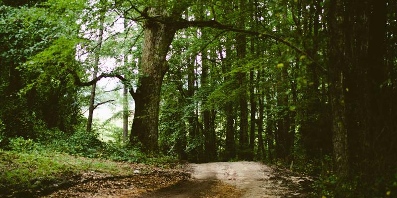 从赛事报道看全民健身浪潮：马拉松热潮背后的体育资讯与商业新生态