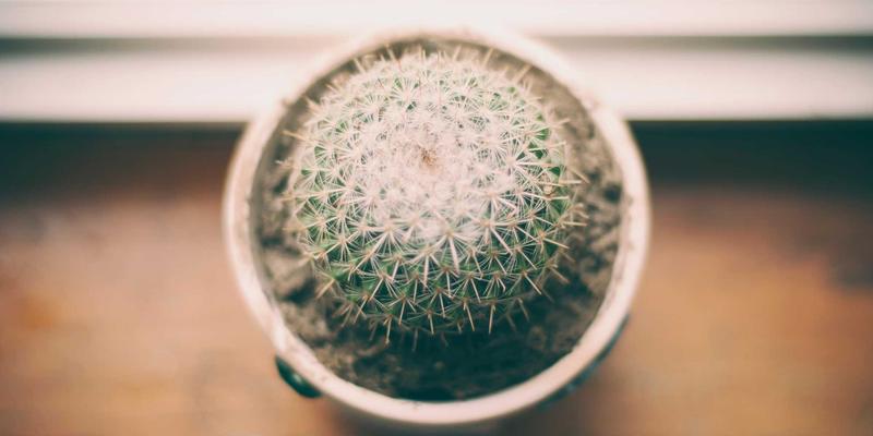 从赛场到社媒：体育明星社交媒体运营策略与个人品牌商业化深度解析