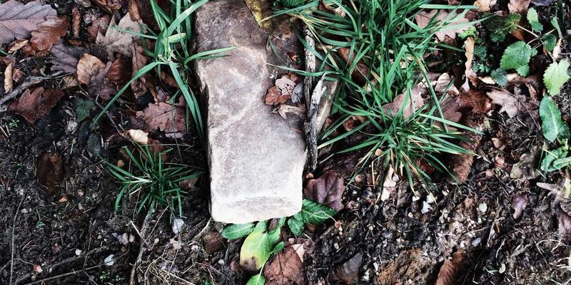 从边缘到中心：短视频平台如何重塑草根体育的新闻生态与传播格局