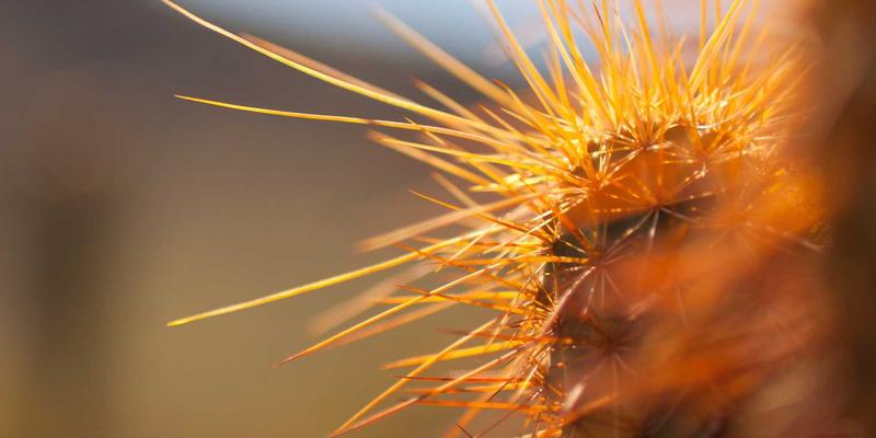 体育心理学如何提升竞技表现：足球运动中的压力管理、团队凝聚力与巅峰状态调控