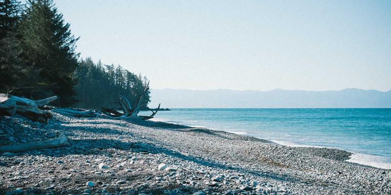 体育新闻14：足球资讯深度解读，绿茵场上的战术变革与未来趋势