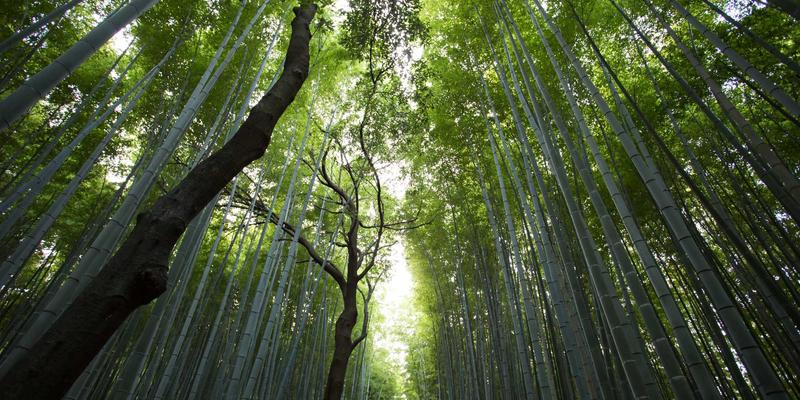 体育新闻72:深度解析赛事报道新趋势与体育资讯价值