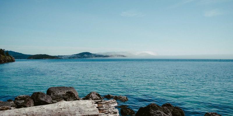 体育新闻78:深度解析赛事报道与体育资讯新趋势