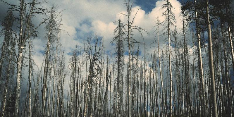 体育突发新闻的采编流程与伦理边界：运动社区如何平衡速度与真相