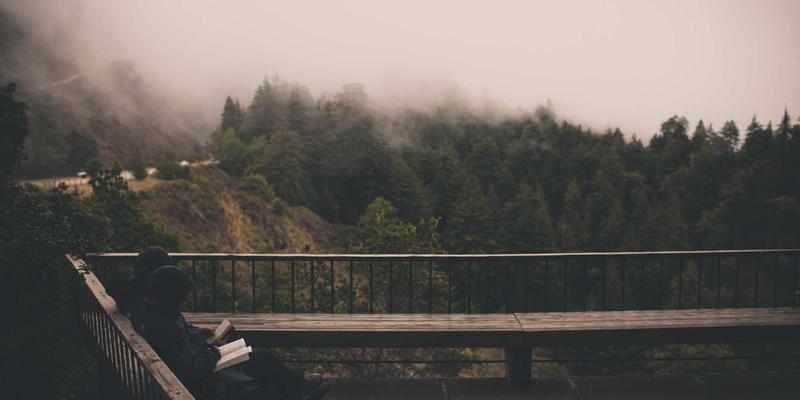 当AI闯入球场：体育新闻中的科技伦理危机与运动社区的信任保卫战