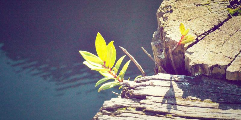 篮球与综合体育资讯的数据可视化革命：如何用图表与交互设计提升赛事报道的专业性与观众参与度