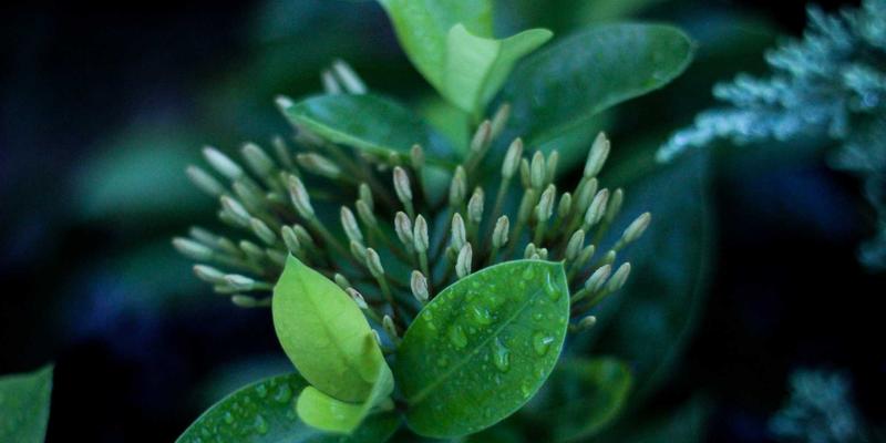 篮球史诗逆转：NBA季后赛历史十大经典战役，运动社区热议的传奇瞬间