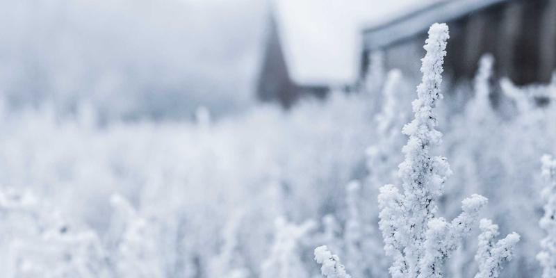 篮球热潮下的体育旅游新蓝海：如何打造融合赛事、社区与城市文化的深度体验产品