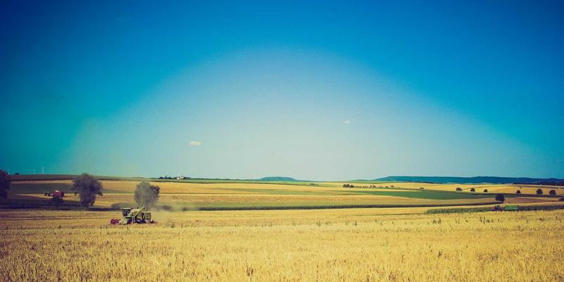 篮球联盟的劳资博弈：工资帽、奢侈税如何塑造现代赛事报道与运动社区生态