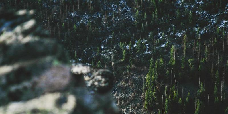 职业体育联盟的劳资博弈：从工资帽到罢工，深度解析赛事报道背后的综合体育生态