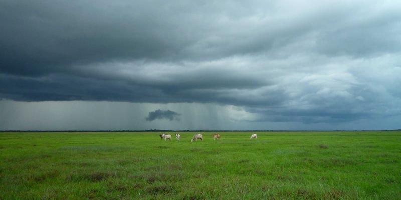 足球、篮球与综合体育经纪的专业化革命：如何科学评估球员价值、谈判合同与开发商业潜力