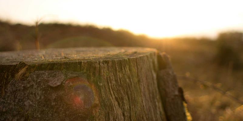 足球篮球彩票的公益属性与理性购彩：体育资讯背后的社会责任